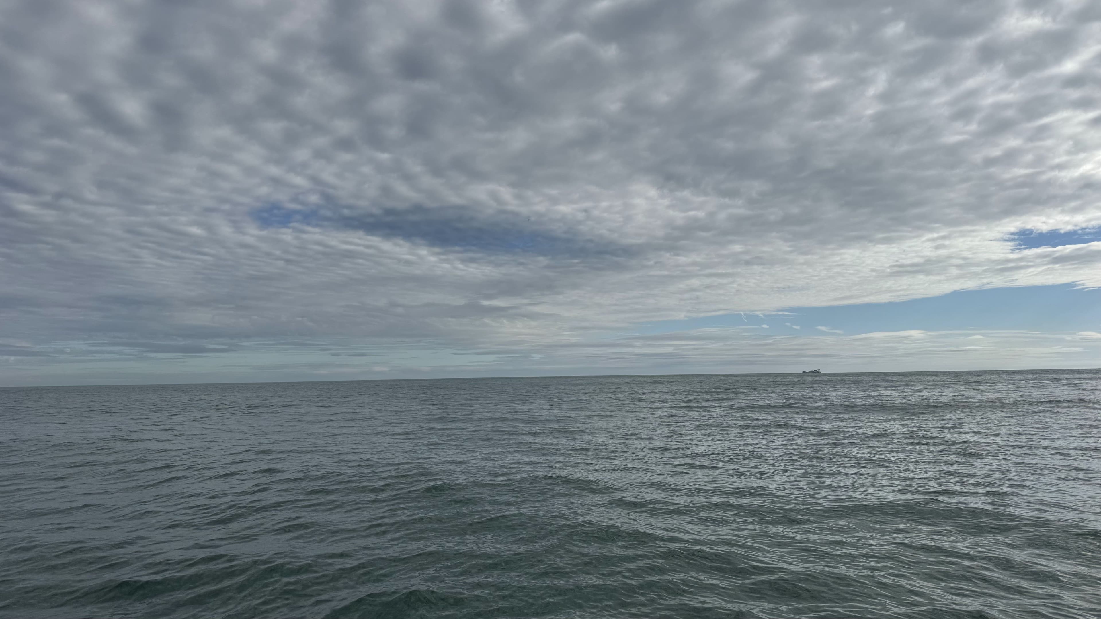 Picture of Norges muligheter for verdiskaping innen havbruk