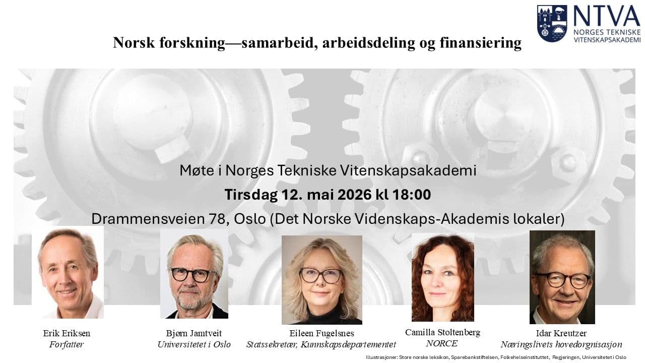 Norsk forskning—samarbeid, arbeidsdeling og finansiering