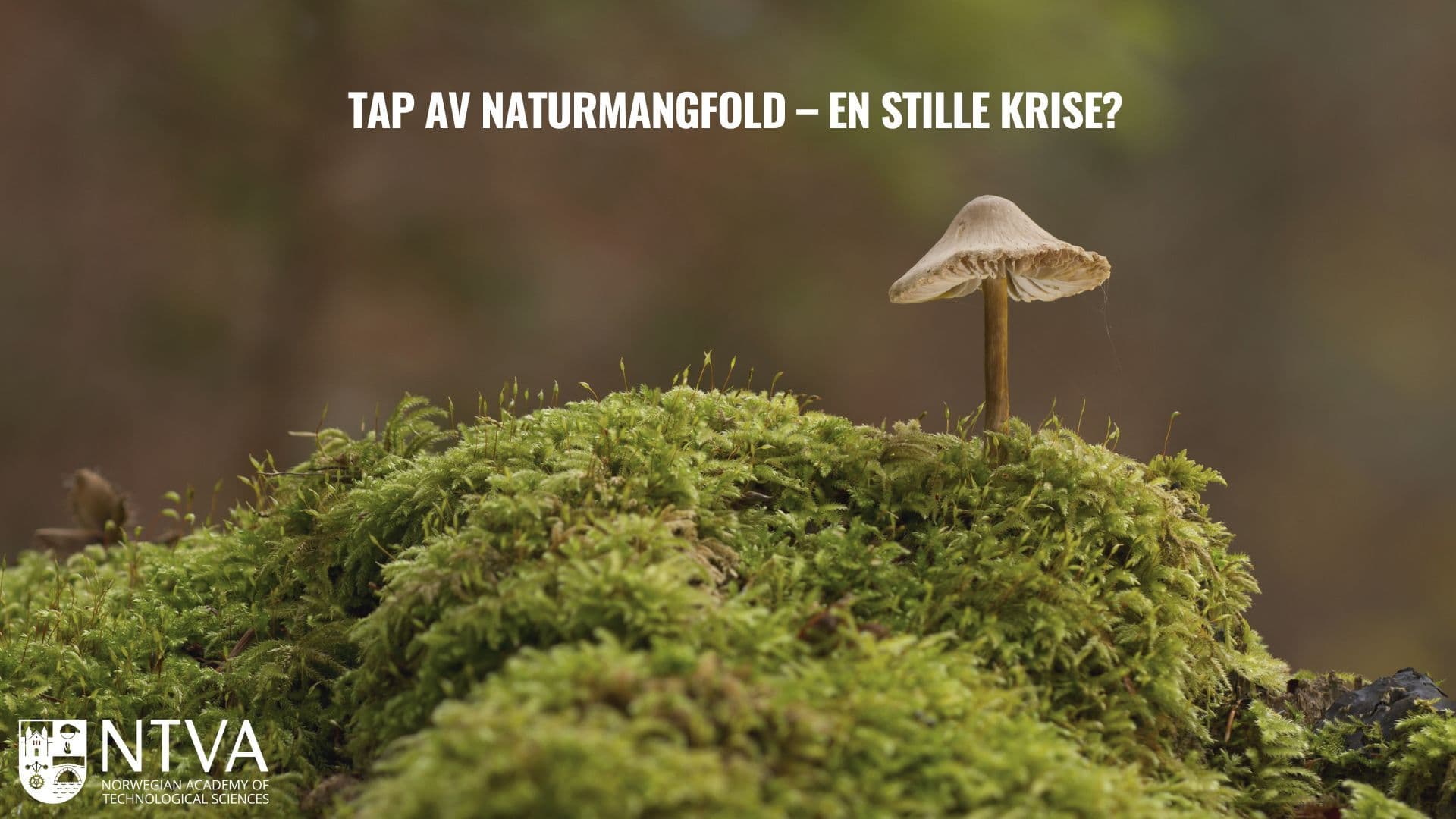 Picture of Tap av naturmangfold – en stille krise?